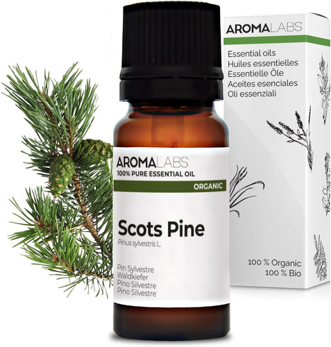 Pino silvestre bio pinus - pino,