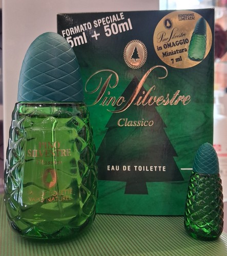 Pino silvestre classico - pino,