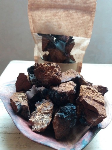 Brocchi fungo chaga - fungo,