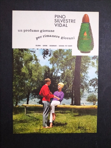 Pino silvestre vidal profumo - vidal,