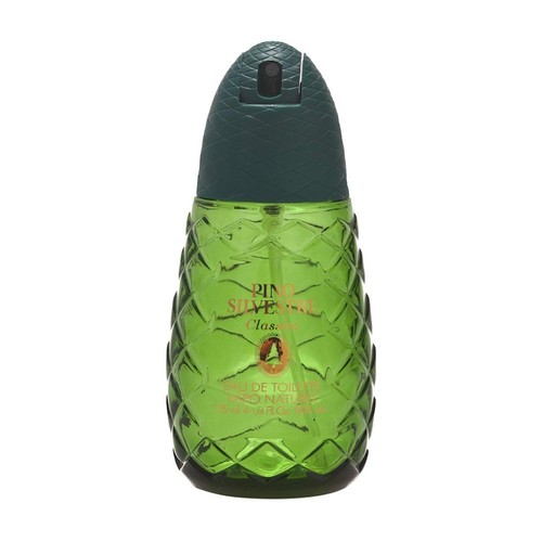 Pino silvestre classico - pino,