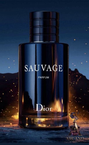 Nuovo dior sauvage parfum 100 - nuovo,
