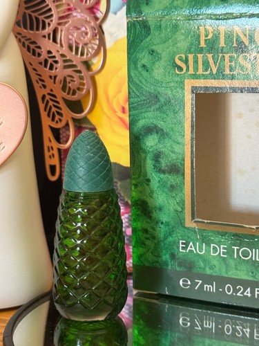 Miniatura pino silvestre - miniatura,